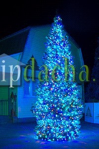 Светодинамическое освещение ПРЕМИУМ класса «Кристалл» Светодинамическое освещение ПРЕМИУМ класса «Кристалл»